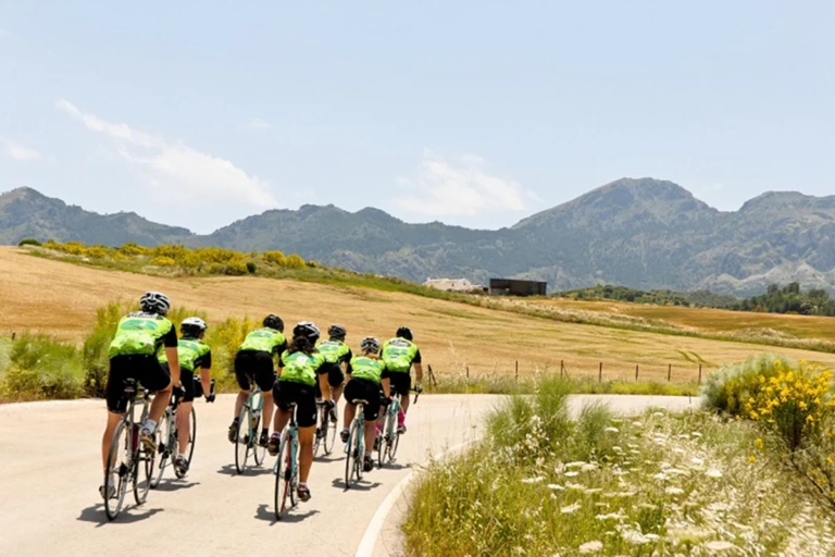 The Ultimate Carbon Road Bike Saddle Guide - Fit, Comfort & Performance