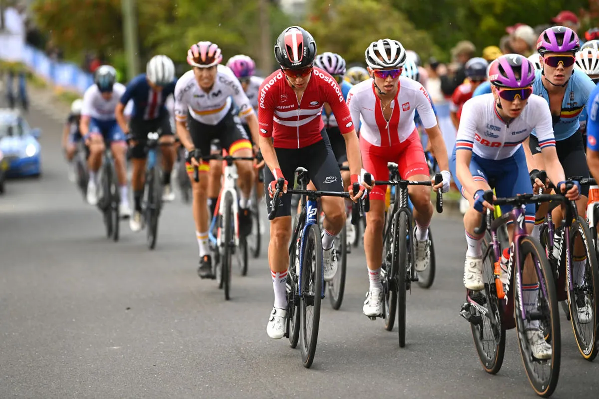 The Ultimate Guide to Bike Cassettes - Selection, Compatibility & Maintenance