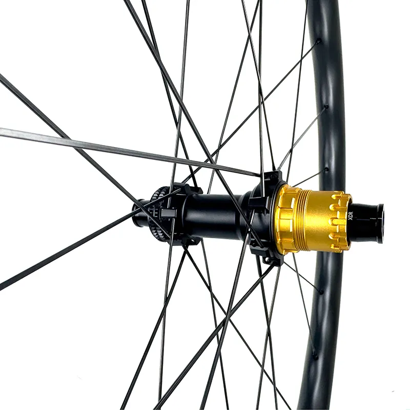 CHASE 45 AERO SL Aero 700C Road Bike Disc Brake Carbon Wheelset Rear Hub View
