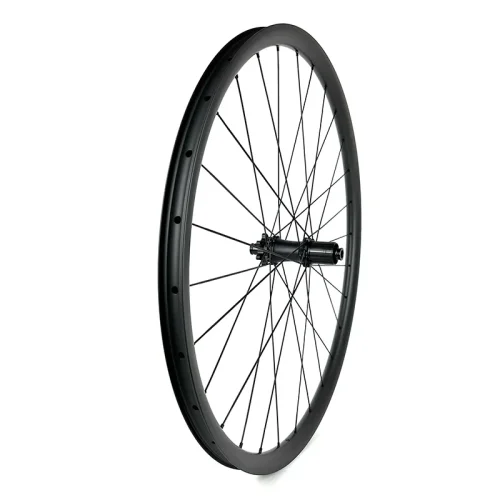 Xdru DURAX 25 MTB Wheel Rear Angle View Xdru DURAX 25 MTB Wheel Rear Angle View